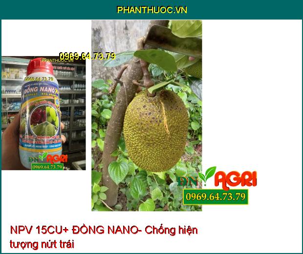 NPV 15CU+ ĐỒNG NANO- Sát Khuẩn Cực Mạnh, Bảo Vệ Cây Trồng Khỏi Héo Rủ