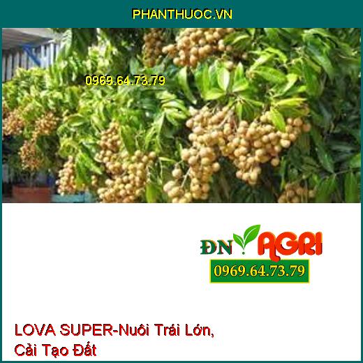 LOVA SUPER-Thúc Đẩy Sinh Trưởng, Nuôi Trái Lớn, Cải Tạo Đất