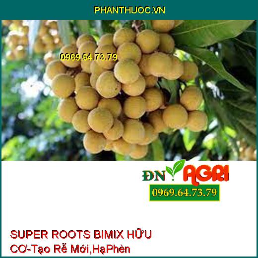 SUPER ROOTS BIMIX HỮU CƠ –Tái Tạo Rễ Mới, Hạ Phèn, Chữa Bệnh Vàng Lá