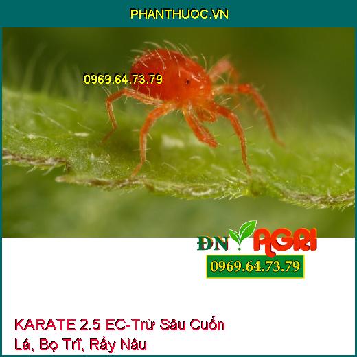 THUỐC TRỪ SÂU KARATE 2.5 EC – Trừ Sâu Cuốn Lá, Bọ Trĩ, Rầy Nâu, Bọ Xít Muỗi