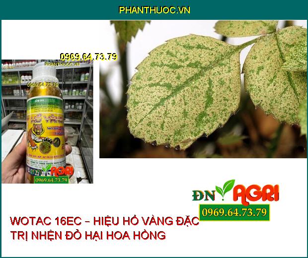 WOTAC 16EC – HIỆU HỔ VÀNG ĐẶC TRỊ RẦY, RỆP VÀ NHIỀU LOẠI NHỆN KHÁC