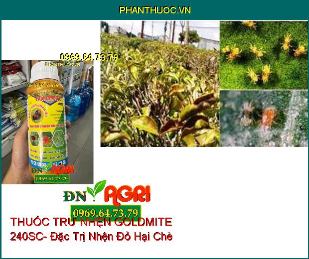 THUỐC TRỪ NHỆN GOLDMITE 240SC- Khắc Tinh Nhện Đỏ