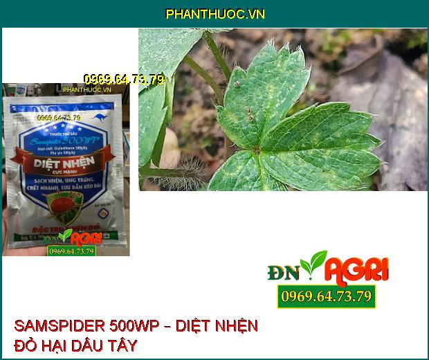 SAMSPIDER 500WP – DIỆT NHỆN ĐỎ CỰC MẠNH, UNG TRỨNG, LƯU DẪN KÉO DÀI