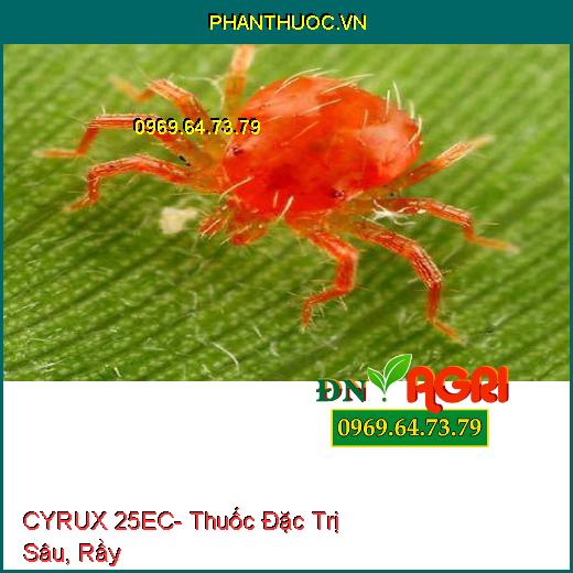 CYRUX 25EC- Thuốc Đặc Trị Sâu, Rầy