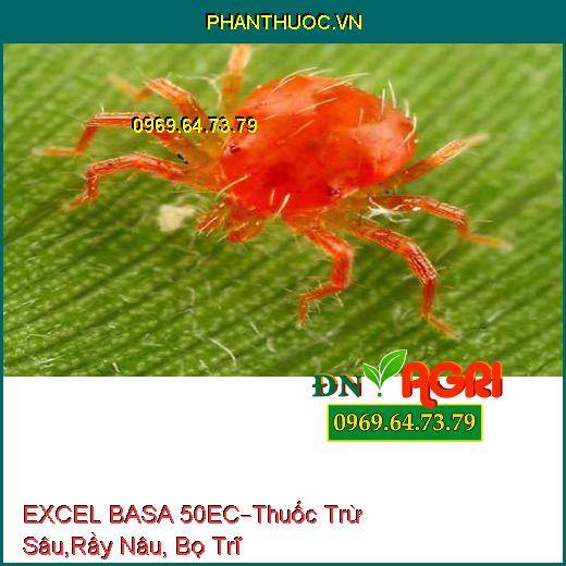 EXCEL BASA 50EC – Thuốc Trừ Sâu, Rầy Nâu, Bọ Trĩ, Rầy Cám Hại Lúa