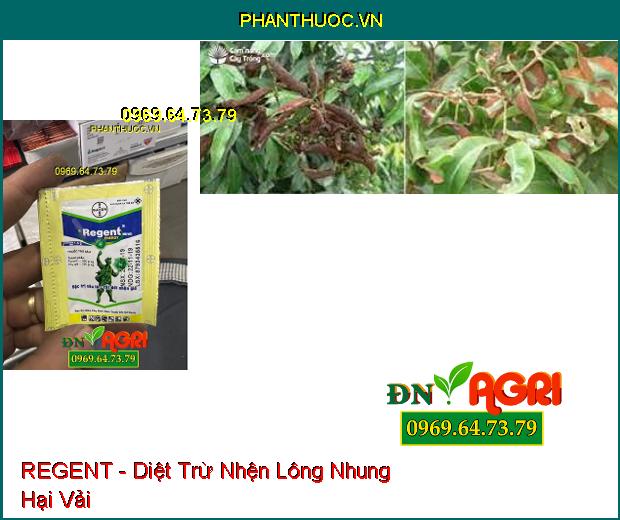 THUỐC TRỪ SÂU REGENT - Thuốc Trừ Kiến, Gián, Mối, Bọ Chét, Ve Chó, Rầy, Nhện