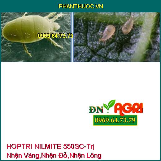 THUỐC TRỪ SÂU HOPTRI NILMITE 550SC - Trị Nhện Vàng, Nhện Đỏ, Nhện Lông