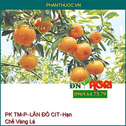 PHÂN PK TM-P – LÂN ĐỎ CIT –Hạn Chế Bệnh Vàng Lá, Cung Cấp Hàm Lượng Lân Kali