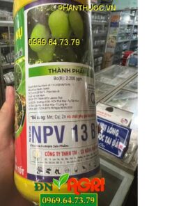 NPV 13B+ TRỘI HỘT XANH NỤ- Chống Đen Bông, Tạo Nhiều Hoa,Dưỡng Cuống, Lên Hột Nhanh