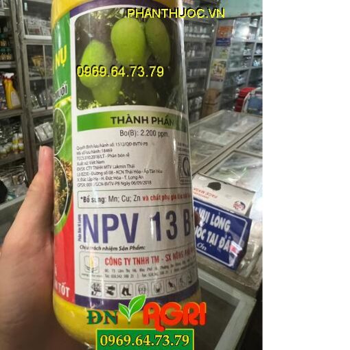 NPV 13B+ TRỘI HỘT XANH NỤ- Chống Đen Bông, Tạo Nhiều Hoa,Dưỡng Cuống, Lên Hột Nhanh