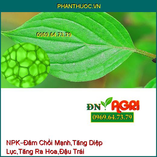 PHÂN BÓN LÁ HỖN HỢP NPK –Đâm Chồi Mạnh,Gia Tăng Diệp Lục , Tăng Ra Hoa, Đậu Trái