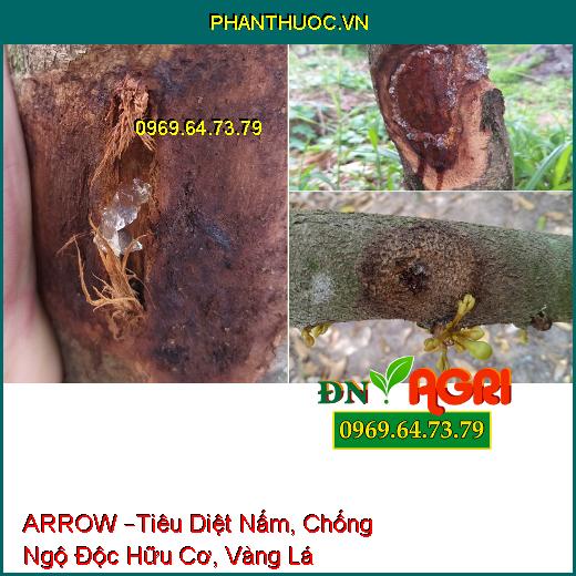 PHÂN BÓN LÁ HỖN HỢP ARROW –Tiêu Diệt Nấm, Chống Ngộ Độc Hữu Cơ, Vàng Lá