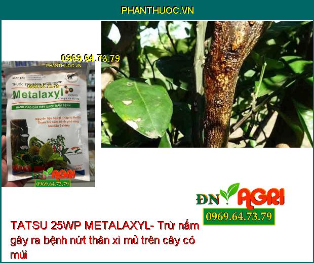 TATSU 25WP METALAXYL- Trừ Nhiều Loại Nấm Khác Nhau Trên Nhiều Loại Cây Trồng