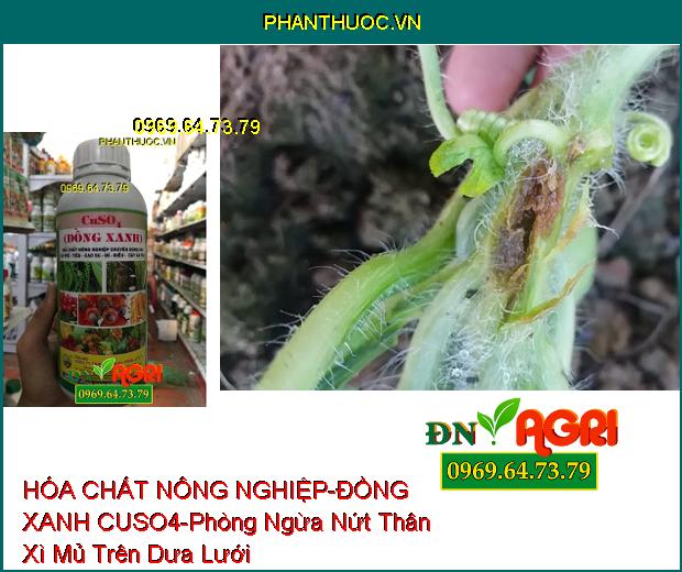 HÓA CHẤT NÔNG NGHIỆP – ĐỒNG XANH CUSO4-Cung Cấp Vi Lượng, Phòng Ngừa Bệnh Nấm