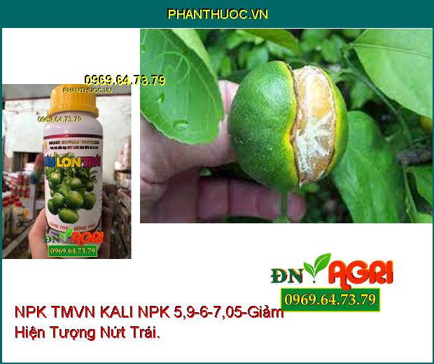 PHÂN BÓN HỖN HỢP NPK TMVN KALI NPK 5,9-6-7,05-Trái Lớn, Giảm Nứt Trái, Da Lu