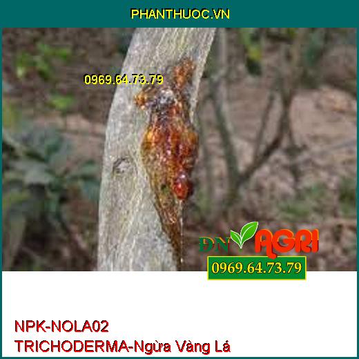 NPK- NOLA02 TRICHODERMA NÔNG LÂM - Ủ Vỏ Cà Phê, Phòng Vàng Lá, Thối Gốc