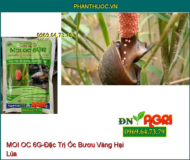 THUỐC TRỪ ỐC MOI OC 6G – ĐẶC TRỊ ỐC BƯƠU VÀNG HẠI LÚA