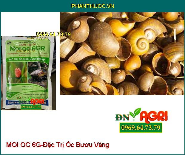 THUỐC TRỪ ỐC MOI OC 6G – ĐẶC TRỊ ỐC BƯƠU VÀNG HẠI LÚA