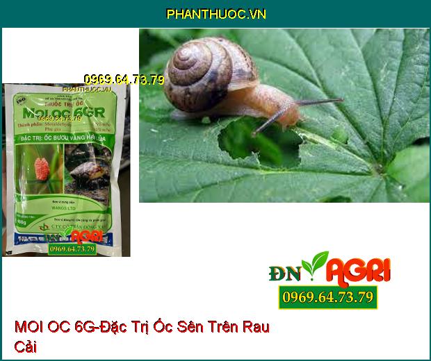 THUỐC TRỪ ỐC MOI OC 6G – ĐẶC TRỊ ỐC BƯƠU VÀNG HẠI LÚA