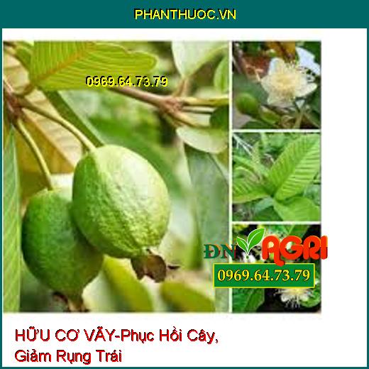 HỮU CƠ VÃY - Phục Hồi Cây, Giảm Rụng Trái, Giải Độc Hữu Cơ, Tăng Đậu Hoa