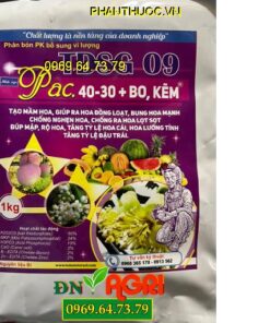 TDSG 09 PAC 40-30+BO Kẽm- Ra Hoa Đồng Loạt, Tăng Tỷ Lệ Đậu Trái Cao