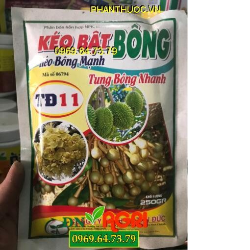 TĐ11 – Kéo Bật Bông – Kéo Bông Mạnh – Tung Bông Nhanh – Dưỡng Bông