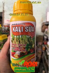 CHỐNG RỤNG HẠT, KALI SỮA BO, PHÂN BÓN HỖN HỢP PK - LVI 66, SÁNG HẠT CHẮC HẠT