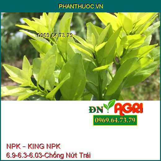 PHÂN BÓN HỖN HỢP NPK – KING NPK 6.9-6.3-6.03-Chống Nứt Trái, Tăng Năng Suất