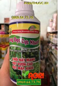 Bổ sung nguồn Acid Amine cung cấp nguồn dinh dưỡng cho cây Cơi đọt, dưỡng đọt, ra đọt nhanh Lá khỏe, xanh dày, mướt lá Giúp đọt vươn cao, mập, khỏe. QUY CÁCH: 500ML