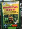 FLOWER PLUS 10-60-10- Chuyên Gia Siêu Tạo Mầm Hoa-Tăng Đậu Trái-Trái Lớn