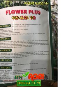 FLOWER PLUS 10-60-10- Chuyên Gia Siêu Tạo Mầm Hoa-Tăng Đậu Trái-Trái Lớn