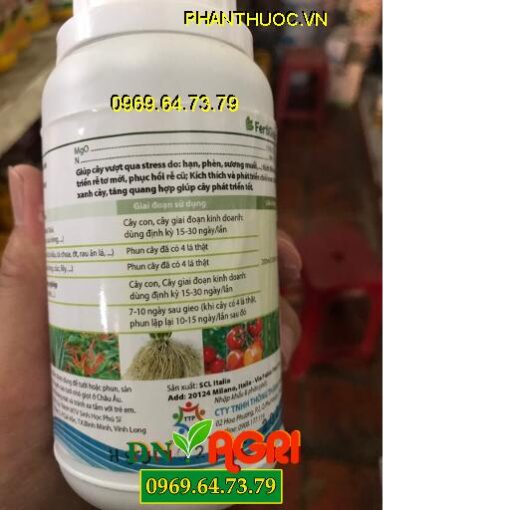 FOLISTIM HUMI Zn- Tạo Rễ Non Chồi Non Đẻ Nhánh- Dưỡng Xanh Cây