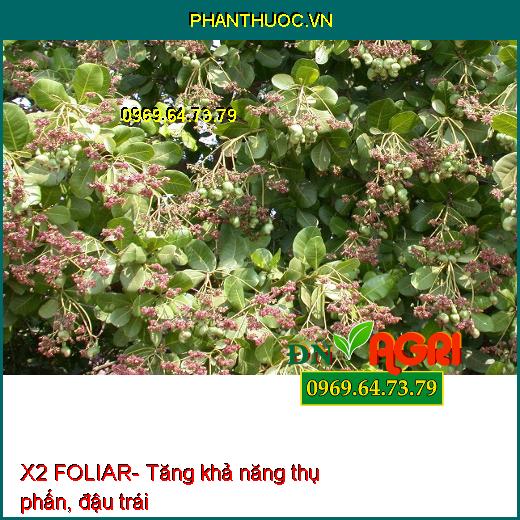 X2 FOLIAR- Phân Bón Vi Lượng, Phân Hóa Mầm Hoa, Đậu Trái Cao, Lên Màu Đẹp