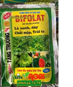 BIFOLAT – SIÊU TĂNG TRƯỞNG – Lá Xanh Dày – Chồi Mập Trái To