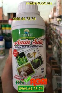 AMIN SỮA – Ra Rễ Nhanh – Đâm Chồi Mạnh – Đẻ Nhánh Nhiều