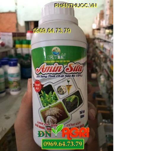 AMIN SỮA – Ra Rễ Nhanh – Đâm Chồi Mạnh – Đẻ Nhánh Nhiều