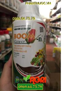 BOOM FLOWER-N – TĂNG CƯỜNG SINH TRƯỞNG – RA HOA CỰC MẠNH