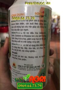 BOOM FLOWER-N – TĂNG CƯỜNG SINH TRƯỞNG – RA HOA CỰC MẠNH