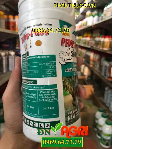 PHOS THÁI 560 SẦU RIÊNG- Khắc Tinh Bệnh Hại Cây- Cứng Cây Chắc Cành