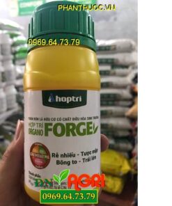 HỢP TRÍ ORGANO FORGE – Kích Rễ Nhiều, Tược Mập, Bông To Trái Lớn