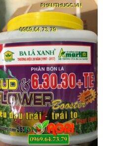 6-30-30+TE BUD FLOWER BOOSTER – Siêu Đậu Trái- Trái To- Tăng Độ Ngọt