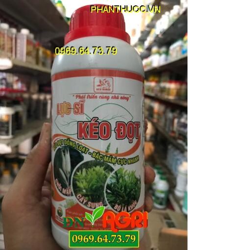 LỰC SĨ KÉO ĐỌT- RED HOSRE – Bật Mầm Cực Nhanh – Chồi Mập Bộ Lá Khỏe