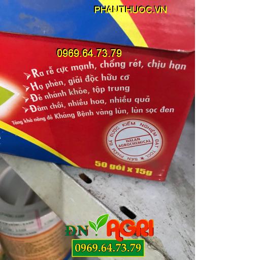 SIÊU LÂN 10-55-10+TE HA LAN- Ra Rễ Cực Mạnh- Đẻ Nhánh Khỏe Nhiều