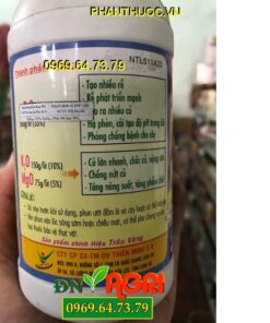 TM-P SIÊU TẠO CỦ KHOAI- Ra Rễ Nhiều- Tạo Nhiều Củ- Chắc Củ Nặng Cân