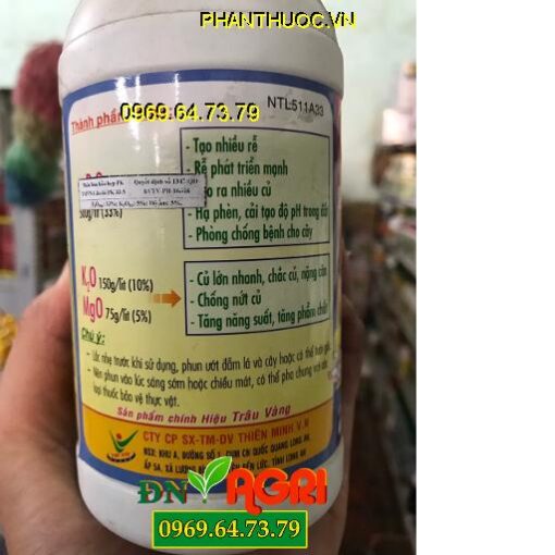 TM-P SIÊU TẠO CỦ KHOAI- Ra Rễ Nhiều- Tạo Nhiều Củ- Chắc Củ Nặng Cân