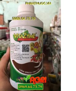 VITAZYME- Bộ Rễ Phát Triển Mạnh-Tăng Hấp Thu Dinh Dưỡng Cho Cây