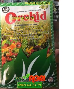 ORCHID – Cây Con Lớn Nhanh – Bung Đọt Cực Mạnh – Xanh Lá Dày Lá