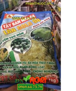 TÂY BAN NHA 04- LÂN GOLD 90- Chuyên Tạo Mầm- Kích Ra Hoa Mạnh Đồng Loạt