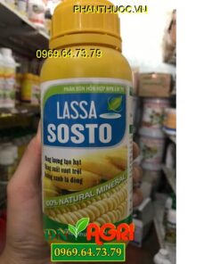 LVI 79 – LASSA SOSTO – Năng Lượng Tạo Hạt- Dưỡng Xanh Lá Dòng Bông To