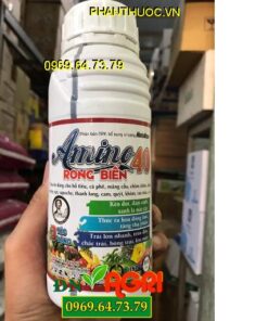 AMINO 40 – RONG BIỂN – Kéo Đọt Đâm Cành- Thúc Ra Hoa Hàng Loạt